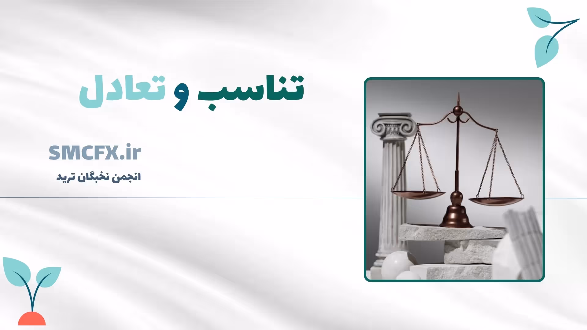 تعادل و تناسب در معامله گری حرفه ای